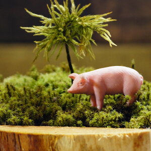 u^ ؁@~j`A@WI}@͌^ ۃeE  tBMA