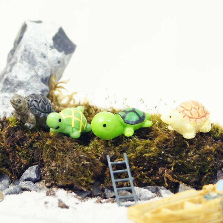 楽天市場 カメ 亀 4種 ミニチュア ジオラマ 動物模型 苔テラリウム おもちゃ フィギュア 鳥 苔庵介る