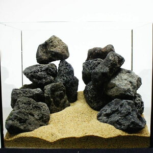 yz5-10cm n΃Zbg 25Be ANAeE ANAE eE 