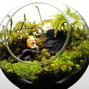 yiz12cm {geE ۃeE eE n ̂X eE v[g Mtg ϗtA ̓ Vzj JXj V wj } ʉ 