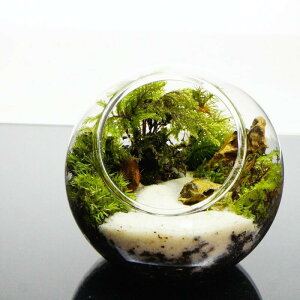 yiz8cm KX{geE ۃeE ̕i ۖ~i eE  CE eE v[g Mtg ϗtA ̓ Vzj JXj V wj 