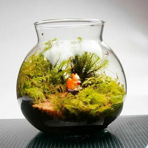 【完成品】LEDライト付 ミニサイズ ボトルテラリウム 10cm 苔テラリウム 至高の食事処 テラリウム プレゼント ギフトにも テラリウム プレゼント ギフト 観葉植物 母の日 新築祝い 開店祝い