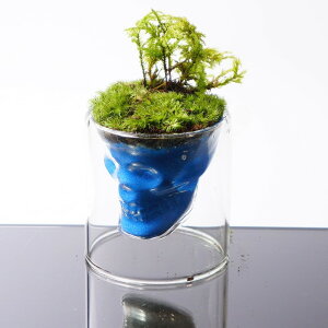 �y����L�b�g�z�ۃe�����E�� 70mm �[�� �X�J���O���X ���^ �w�A�[�X�^�C���L�b�g �{�g���e�����E�� �e�����E�� �N���X�}�X�v���[���g �R�E���m�}���l���O�T�@�J�T�S�P ���� �쐬�L�b�g�n��