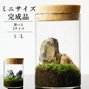 yiz{geE 65mm ΃Zbg ۃeE eE V wj } ʉv[g CE n  ؉ CeA ϗtA  蕨@ۂ̕