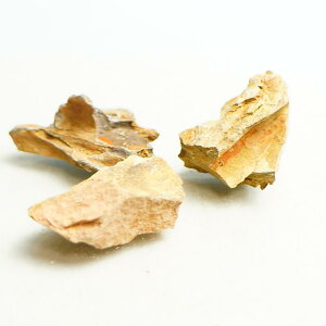 S3 2-3cm 10 n CE ؉   ~j {geE ۃeE `󂨔C CAEg ANAE ANAeE