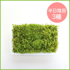   RPyA3~jpbNiM1j(222×143mm) z