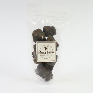 苔 苔テラリウム ソイル 溶岩石 【富士山の溶岩石(5個入)】