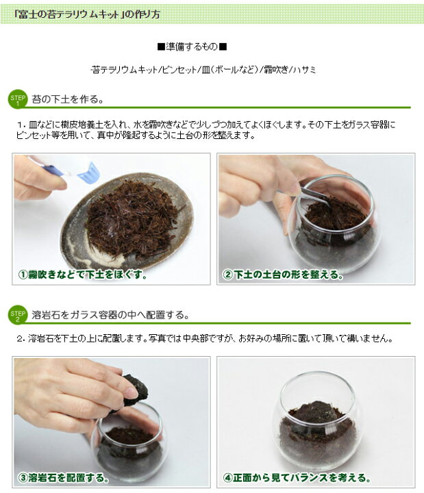 楽天市場 苔 こけ コケ テラリウム 富士の苔テラリウムキット モス ファーム