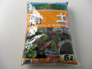 y 5bg