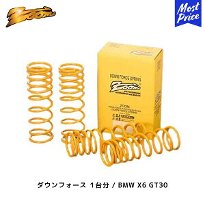ZOOM �_�E���t�H�[�X 1�䕪 BMW X6 GT30 H31/12�` 3.0L xDrive F�FDOWN(35�`40) R�FDOWN(35�`40) | �Y�[�� ���[�_�E�� �X�v�����O ���{��