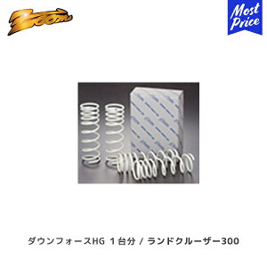 ZOOM �_�E���t�H�[�XHG 1�䕪 �����N��300 FJA300W F33A-FTV H33/08�` 3.4L �f�B�[�[�� F�FDOWN(40�`45) R�FDOWN(40�`45) | �Y�[�� ���[�_�E�� �X�v�����O �����h�N���[�U�[ 300 ���{��