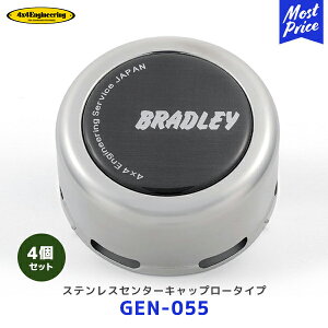 4×4 GWjAO zC[ BRADLEY Z^[Lbv XeX/otdグ 4ZbgyGEN-055 ×4z| ubh[ tH[oCtH[