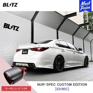 BLITZ ubc }t[ XJCC NUR-SPEC CUSTOM EDITION y63190CzjbT SKYLINE RV37 | GL][Xg JX^GfBV VxK J[{bh2.5R