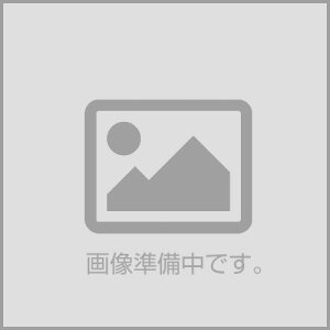 gXg TRUST GReddy ObfB ICN[[Lbg ړ 13i jbT XJCCGT-R 99/01-02/08 BNR34E/G RB26DETTy12024431zl nissan gtr  ԗpi N[O J[p[c eiX