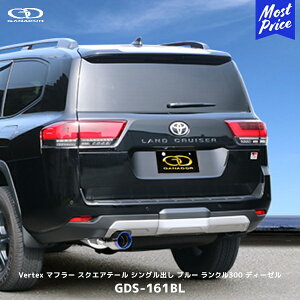 Kih[ N300 fB[[ GR SPORT VOo u[ }t[yGDS-161BLz| Vertex GANADOR ԌΉ FJA300W hN[U[300 |bVe[ `^e[