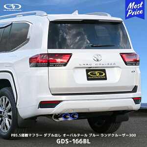 Kih[ N300 K\ ZX Wop[p u[ _uo }t[yGDS-166BLz| GANADOR ԌΉ VJA300W hN[U[300 I[oe[ 2{o `^J[