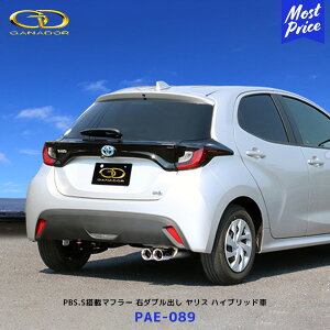 Kih[ X nCubh PASION EVO PBS.Sڃ}t[ |bVe[yPAE-089z| GANADOR ԌΉ MXPH10 MXPH14 E_uo