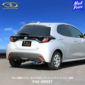 Kih[ X nCubh PASION EVO PBS.Sڃ}t[ u[e[yPAE-089STz| GANADOR ԌΉ MXPH10 MXPH14 E_uo `^e[