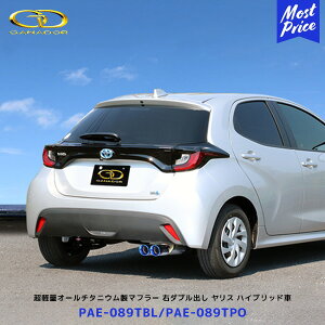 Kih[ X nCubh PASION EVO PBS.Sڃ}t[ I[`^jE | GANADOR ԌΉ MXPH10 MXPH14 E_uo PAE-089TBL / PAE-089TPO `^e[