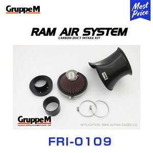 GruppeM M's �����G�A�V�X�e�� BMW/ALPINA ALPINA(3SERIES) 3E4J B3 1996-2000 �yFRI-0109�z RAM AIR SYSTEM | K&N �O���[�v�G�� �G�A�C���e�[�N �n�C�t���[ �G�A�t�B���^�[ �R�A �G�A�N���[�i�[