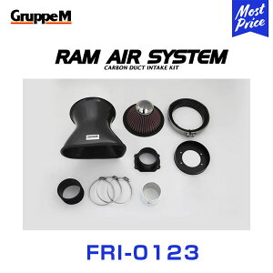 GruppeM M's �����G�A�V�X�e�� MERCEDES BENZ C-CLASS 202028/029 C280 1994-2000 �yFRI-0123�z RAM AIR SYSTEM | K&N �O���[�v�G�� �G�A�C���e�[�N �n�C�t���[ �G�A�t�B���^�[ �R�A �G�A�N���[�i�[