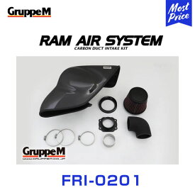 GruppeM M's ラムエアシステム VOLKSWAGEN POLO 6RCAV/6RCTH GTI S/C+TURBO 2010-2015 【FRI-0201】 RAM AIR SYSTEM | K&N グループエム エアインテーク ハイフロー エアフィルター コア エアクリーナー