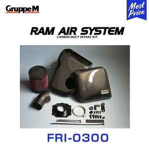 GruppeM M's GAVXe MINI MINI(I) RA16 ONE/COOPERM/TO(NA) 2003.4-2004.7 yFRI-0300z RAM AIR SYSTEM | K&N O[vG GACe[N nCt[ GAtB^[ RA GAN[i[