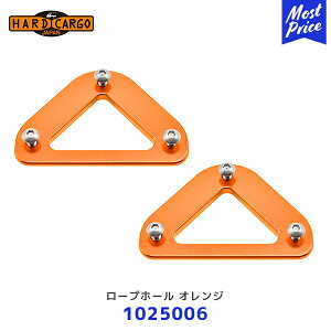 n[hJ[S HARD CARGO [vz[ IWy1025006z| ygbN yg MINI TRUCK
