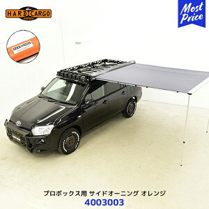 n[hJ[S HARD CARGO v{bNXp TChI[jO IWy4003003z| P50V/P51V/P52V/P55V/P58G/P59G P160V/P165V LApIvV