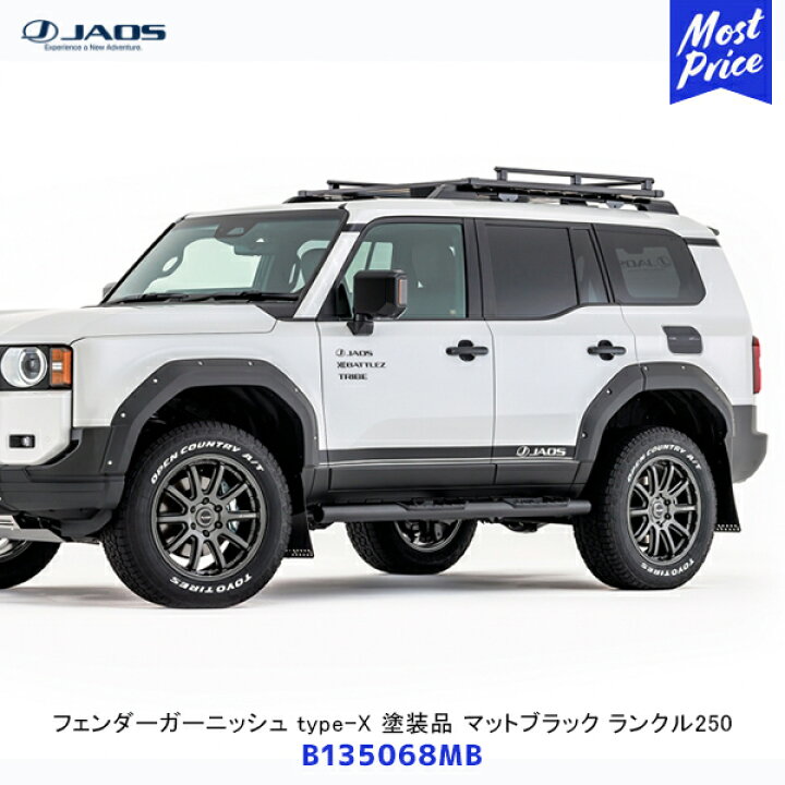 楽天市場】JAOS ジャオス フェンダーガーニッシュ type-X 塗装品 