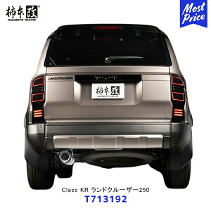 `{  }t[ Class KR hN[U[250 As[X̂݁yT713192z| GL][Xg rCn TOYOTA g^ N250 TRJ250W GDJ250W