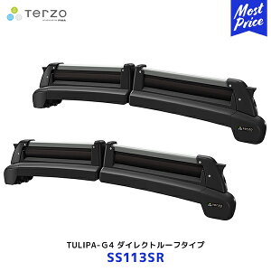 Terzo `p-G4 XL[Xm[{[hpLA _CNg[t[^CvySS113SRz| ebcH PIAA sA Xm{ XL[ [tLA  LA L[bN