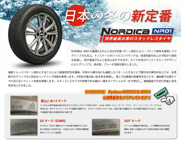 楽天市場】185/65R15 15インチ SHIBATIRE シバタイヤ レイダン 