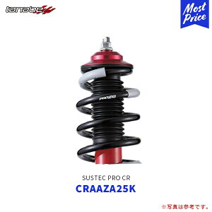 TANABE NTX NX250 SUSTEC PRO CR ^ix RtH[gR ԍ yCRAAZA25Kz| XvO _uV[gO Ԏʐp݌v [_E ͌ŒlW