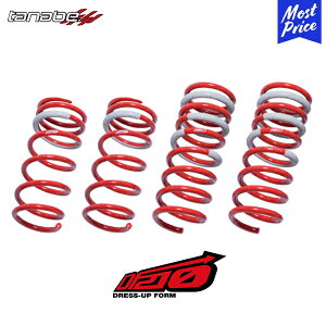 ^ix [_EXvO TXebN DF210 1䕪 NTX NX350hyAAZH20DKz| TANABE TXyV LEXUS tg A Zbg