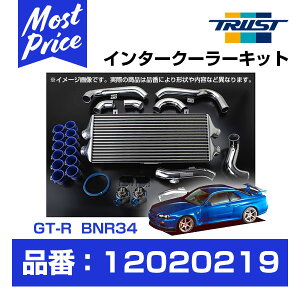 TRUST gXg GReddy C^[N[[Lbg XJCC GT-R BNR34 RB26DETT 99.01-02.08 T-29F T[W^Np y12020219z