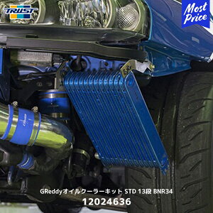 TRUST �g���X�g GReddy�I�C���N�[���[�L�b�g STD 13�i BNR34�y12024636�z| �X�J�C���C��GT-R