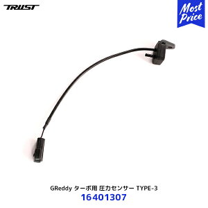 gXg GReddy ^[{p ̓ZT[ TYPE-3y16401307z| ObfB TRUST