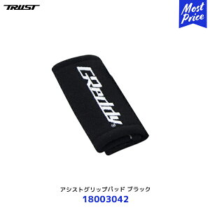 TRUST gXg GReddy AVXgObvpbh 2 ubNy18003042z| }WbNe[v  ~ ԓANZT[