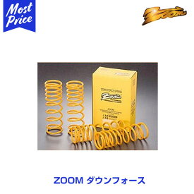 ZOOMダウンフォース アイシス ANM10W 1AZFSE H16/9〜 2WD 2.0LF：DOWN(35〜40) R：DOWN(30〜35)