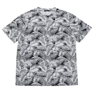  TVc Y z hCbV X|[cEFA g[jO N[lbN   Jt ʕ [t [EFA  AEghA  gbvX Yt@