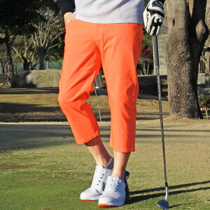  Stpc Y Nbvhpc Xgb` StEFA n[tpc `mp V[gpc X|[cEFA n 7 傫TCY t  MOSTSHOP 䂤p