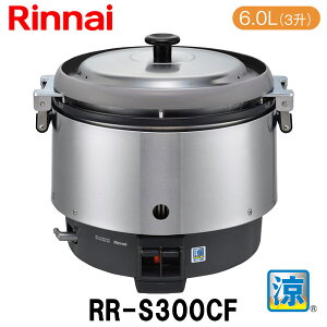 iC ƖpKXъ RR-S300CF 6.0L(3) ~ t KX~[@ tbf Vi 