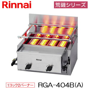 iC Ɩp KXԊOO[ ΃^Cv RGA-404B(A) rV[Y Vr4 1RbN2o[i[