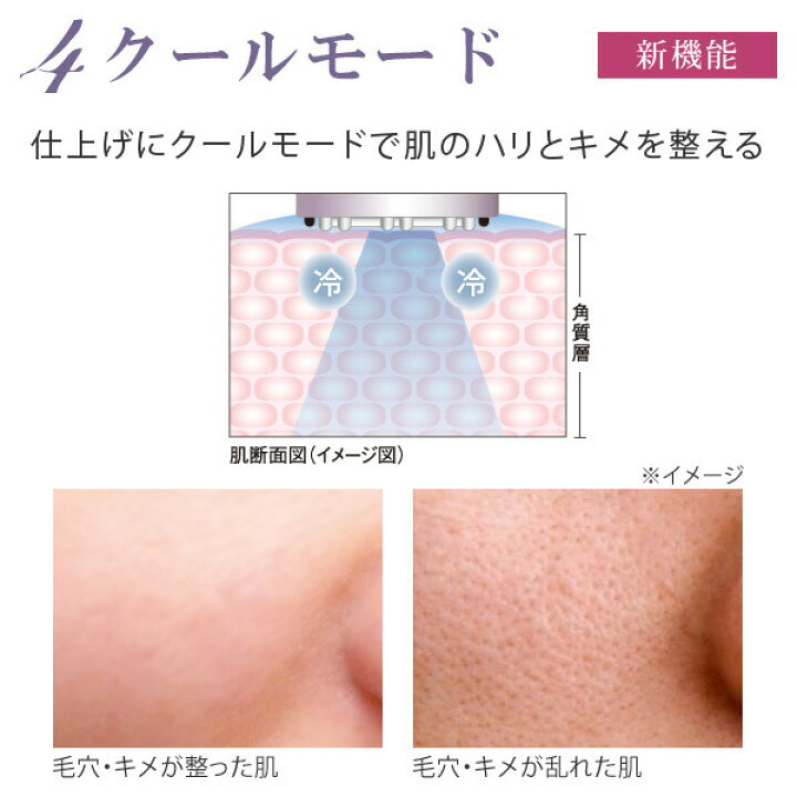 楽天市場】美顔器 ツインエレナイザープレミアム ホームエステDX 