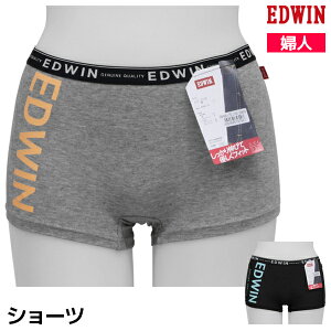 yN[|zzzEDWIN GhEB 1 V[c pc  AY | {NT[pc eB[Y ̎q w w Z q wq wN q K[Y WjA peB {