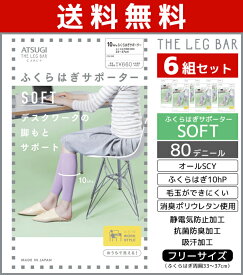 送料無料6組セット ATSUGI THE LEG BAR アツギザレッグバー ふくらはぎサポーター ソフトタイプ アツギ | レディース ふくらはぎ サポーター 着圧 着圧サポーター ソックス 着圧ソックス デスクワーク レッグウォーマー 圧着ソックス 夏用 着圧靴下 むくみケア