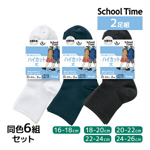  F6gZbg v12 School time XN[^C nCJbg 2g q C AcM ATSUGI | ̎q j̎q XN[\bNX wZ   F jq q ʊwC Z w w