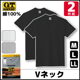 G.T.HAWKINS ホーキンス VネックTシャツ 2枚組 グンゼ GUNZE| メンズ 男性 インナー インナーシャツ 肌着 半袖 男性下着 紳士肌着 アンダーウェア メンズインナーシャツ アンダーシャツ ティーシャツ tシャツ インナーtシャツ ティシャツ アンダーウエア メンズ肌着 シャツ