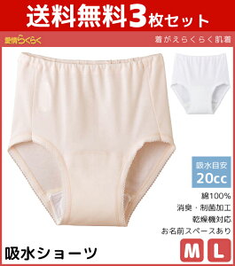 yN[|10%OFFz3Zbg 炭炭 ւ炭炭 EFA V[c փpc 20ccΉ ARpc MTCY LTCY 쉺 씧 pi O[ GUNZE 100%